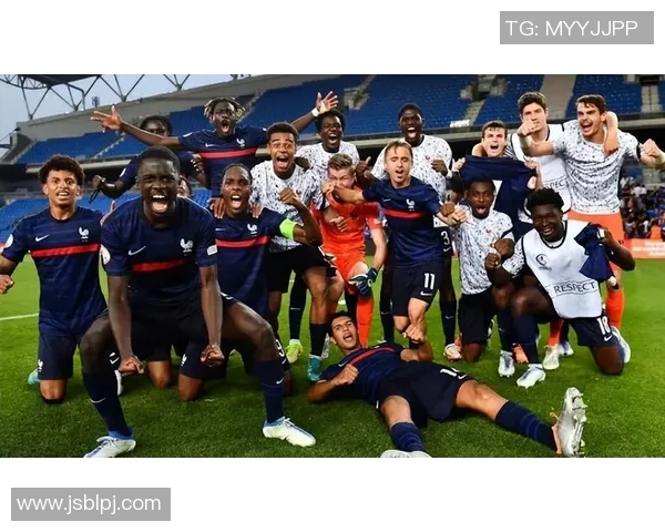 回顾2014年法国队足球明星阵容及其在世界杯上的精彩表现