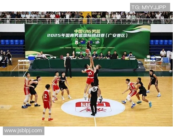 杭州篮球队的崛起与发展探秘展现城市体育力量的无限可能